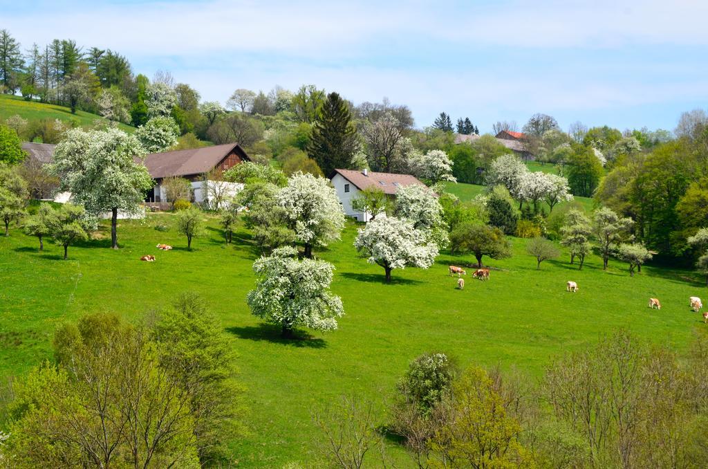 Vonwald Apartment Michelbach