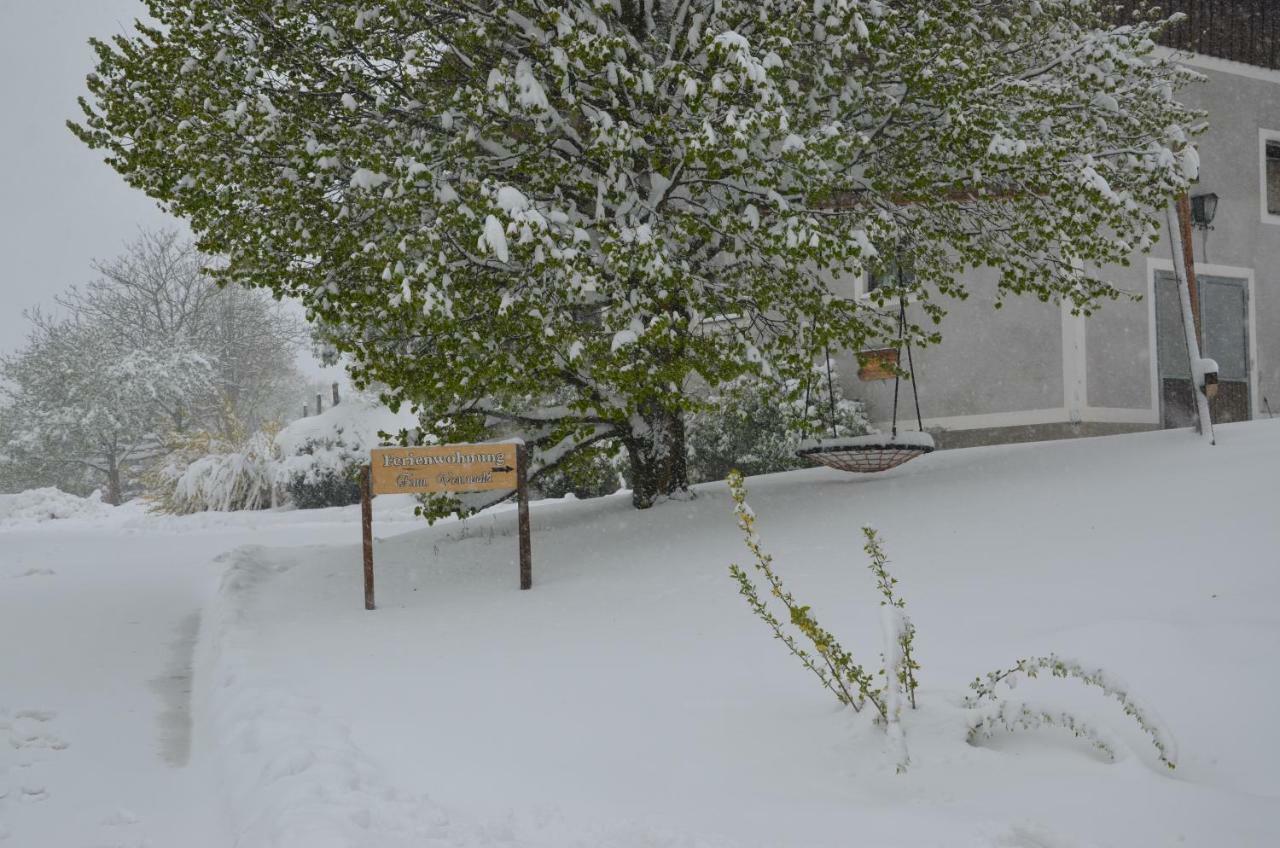 Apartment Vonwald *